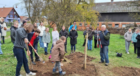 CULTE « EGLISE VERTE » AVEC PLANTATION D’UN ARBRE